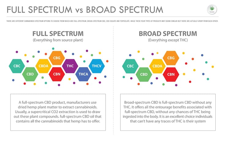 Full Spectrum vs Broad Spectrum CBD Oil 2 full spectrum vs broad spectrum cbd oil