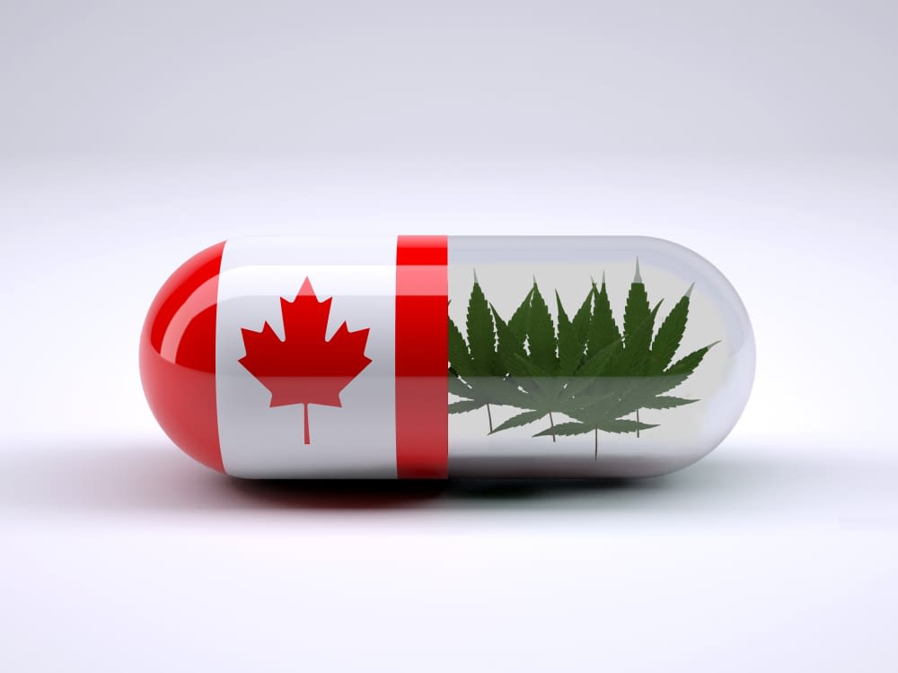 Buying CBD In Canada A Complete Guide To Canadian CBD