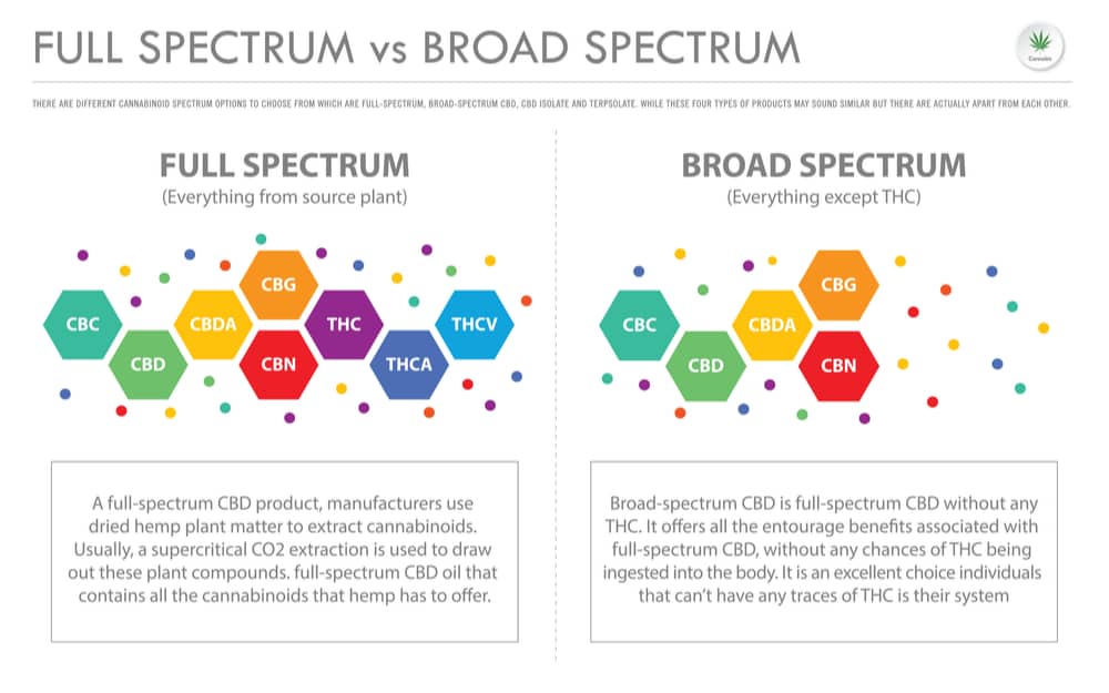 full spectrum vs broad spectrum cbd oil