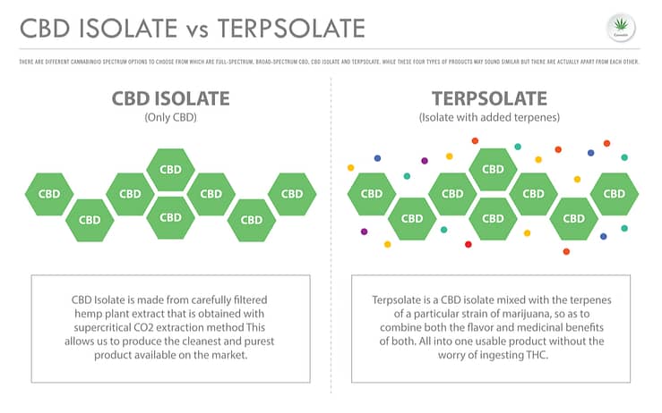 cbd isolate vs terpsolate