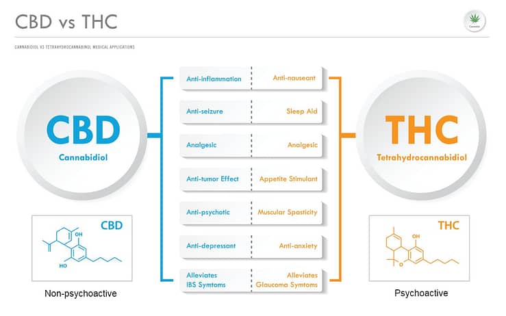 cbd vs thc