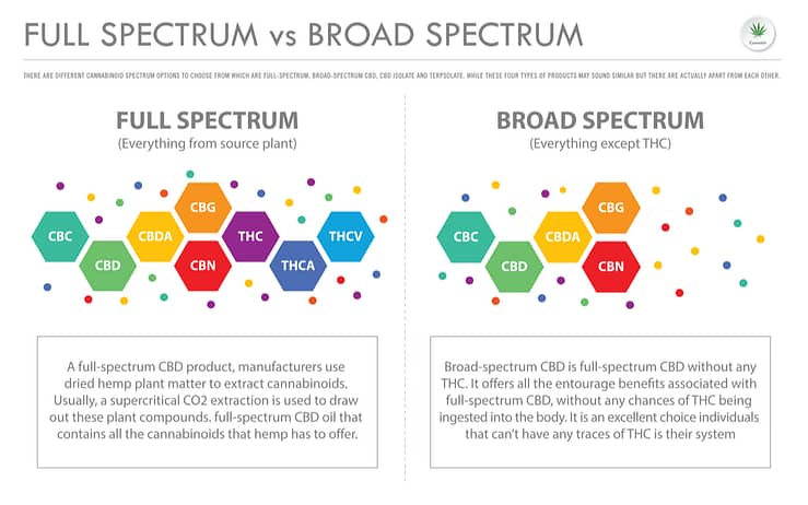 Full Spectrum vs Broad Spectrum CBD Oil 2 full spectrum vs broad spectrum cbd oil